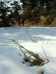 北坪雪地行未命名