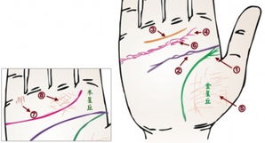 手相看病 从掌纹看你的身体是否健康 