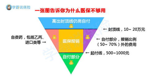 百万医疗保险动漫,健康产业统计分类,2019