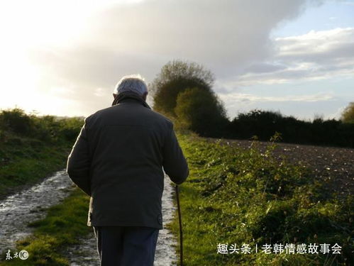 继父拉扯大两儿一女,到老却露宿街头,邻居道出不得不说的真相