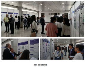 有必要去国际医学部吗 北京大学医学部在哪里 附准确地址