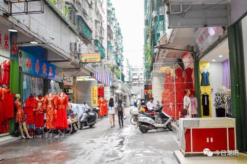 我想回潮阳 嫁到外地我后悔了