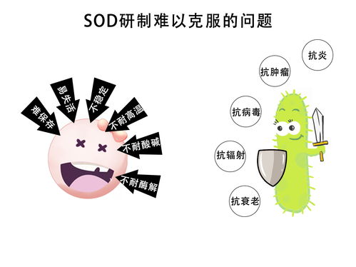 关于超氧化物歧化酶SOD,你还不知道的冷知识 生物秘码 原创