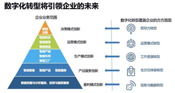 未来已来：数字化转型如何引领企业走向成功