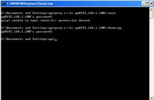 将windows文件上传到linux,如何上传windows本地文件夹到linux服务器上