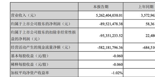 上市公司亏损，是亏谁的钱，公司有没有损失？