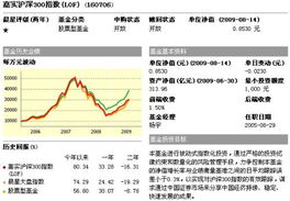 嘉实300定投个人市值怎么查