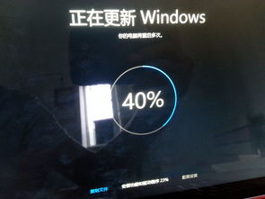 windows 10升级助手下载