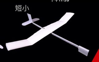 这种纸飞机模型国际通用名字是什么啊 网上搜纸飞机模型都搜不到这种东西 