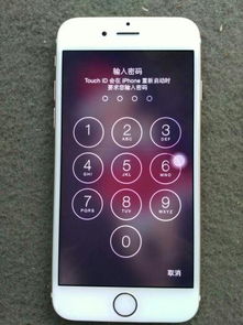 苹果手机的屏幕锁,跟ID锁4是一样的吗 这个界面是屏幕还是ID锁住了 