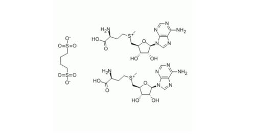 生物化学里SAM是什么的缩写啊？