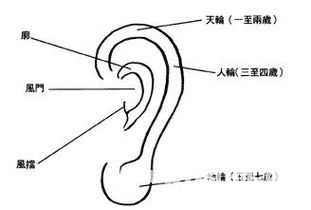 耳朵面相算命图解