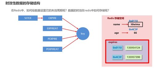 redis关闭后数据会不会丢失(redis挂掉后数据还能获取到)