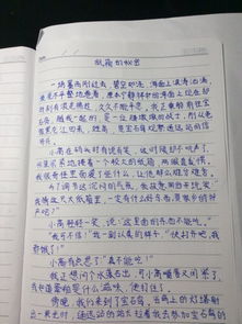 400字作文纸图片 信息图文欣赏 信息村 K0w0m Com