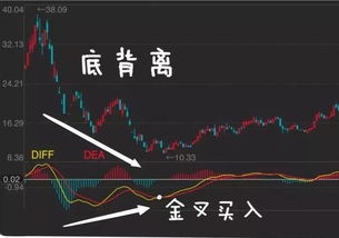 如何运用MACD准确判断买入点?