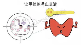 北京北城中医医院 甲亢能根治是真是假