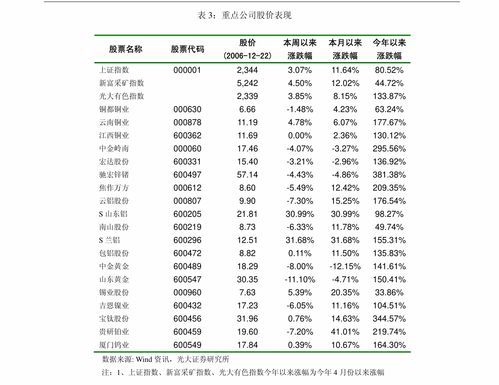 如何为毛概论文选择查重软件