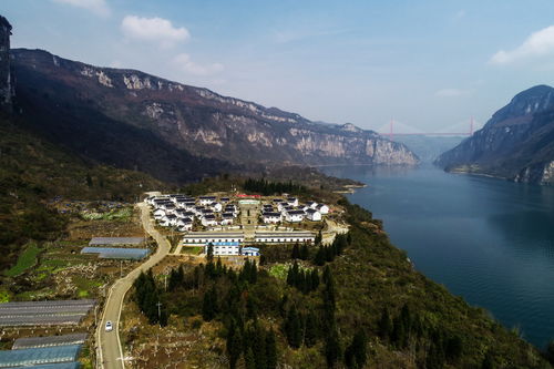 化屋村人的新年心愿 