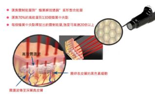 蜂巢皮秒为什么那么贵