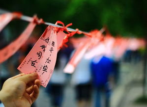 学诚法师 芦山地震生死追思 感悟人生