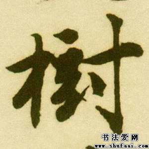 树字怎么写,树在田字格里怎么写