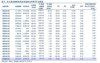 创业板中签--关于资金的分配问题