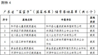 广东省水电整改方案范文  线路频繁停电整改措施？