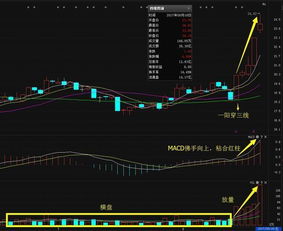 请高手发个选股一阳穿三线的选股公式参数3.5.24谢谢了