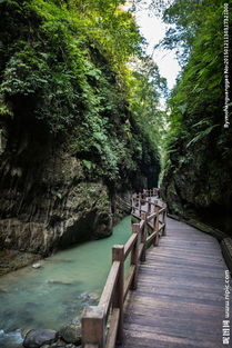 黑山谷图片,重庆黑山谷好玩嘛 有那些风景-第1张图片