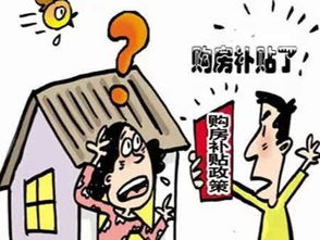 在这次地震中失去了房子，政府会怎样补助？