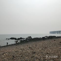 大连银沙滩浴场收费吗(大连滨海路银沙滩免费停车场)