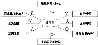 酵母菌属于什么生理类型的微生物,酵母菌属于什么样的微生物?-第1张图片