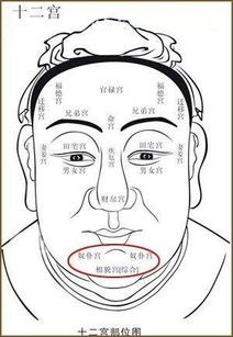 看面相 下巴影响人一生的福运,破解下巴的秘密