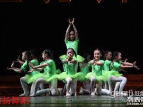 上海舞蹈学校好进吗,初中毕业怎么考上海舞蹈学校？上海市舞蹈学校考进去要什么舞蹈基础？