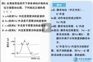 地球仪为什么朝一角倾斜23.5°