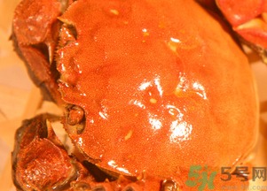 螃蟹要煮多久才熟 螃蟹要煮多长时间最好