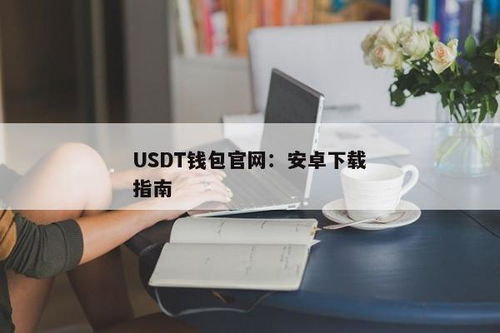 常用的usdt钱包,什么是USDT钱包？