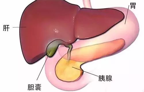 这个地方一堵住,最易引起大病,只需10秒,就能疏通 作用 