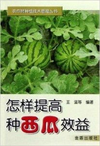 西瓜种植技术和管理这种书哪里可以