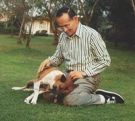 泰国国王普密蓬去世 曾执政70年摆平20次军事政变