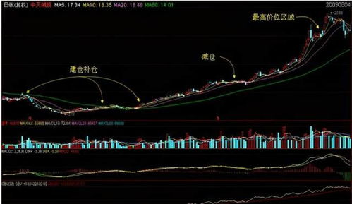 类似以下某只股票当天的成交回报，什么时候在哪里能查看到？