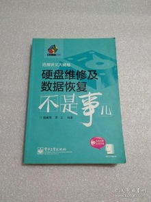 硬盤(pán)維修及數(shù)據(jù)恢復(fù)不是事兒 pdf