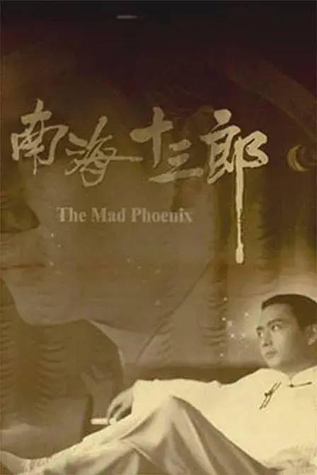 南海十三郎 电影,南海十三郎:华语电影的璀璨明珠
