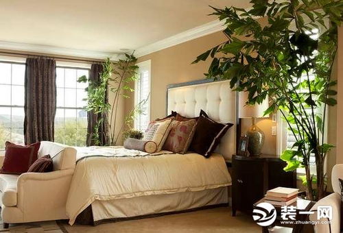 卧室放什么植物风水好 卧室植物的风水禁忌你知道几个