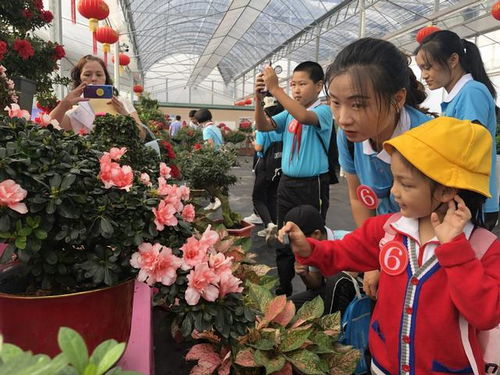 脱贫振兴八闽行 漳平永福镇十里花街花木合作社助力村民脱贫致富