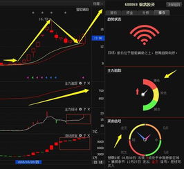 银鸽投资600069最新利好消息公布，后市如何演绎