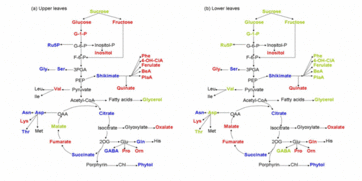 nmr是什么色谱方法,红外光谱 紫外光谱 质谱 NMR 区别