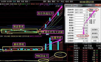 股票怎样进行电话交易？哪位朋友给讲讲多谢