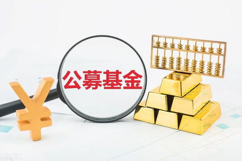 现金分红和红利再投资哪个好？