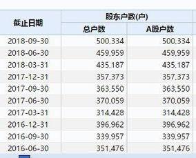 基金持仓信息怎么查？